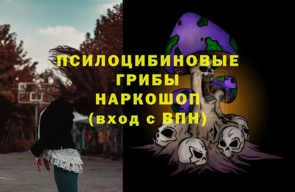 экстази Алексин