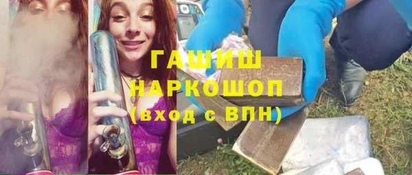 амф Гатчина