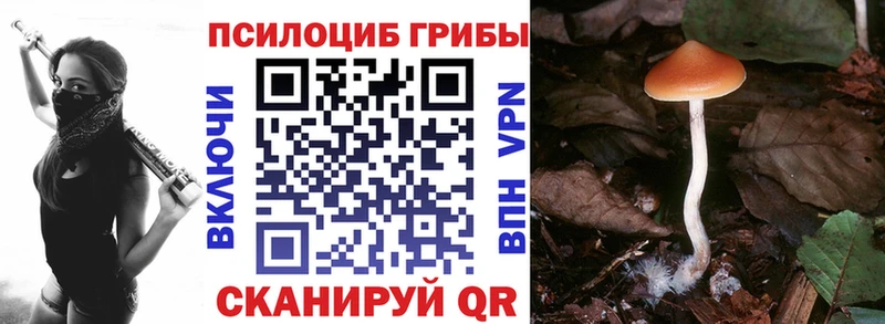 Псилоцибиновые грибы мицелий  Духовщина 