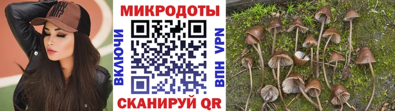 Галлюциногенные грибы ЛСД Духовщина